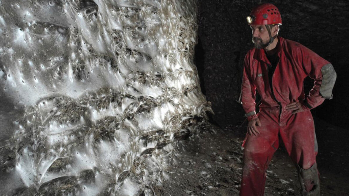 Ο μεγαλύτερος ιστός αράχνης στον κόσμο βρίσκεται σε θειούχο σπήλαιο στα σύνορα Ελλάδας – Αλβανίας