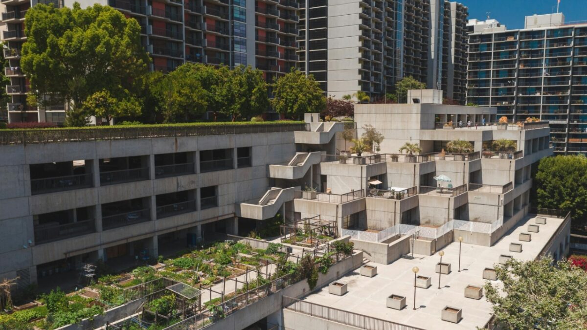 Greenpeace: Πώς οι δήμοι της Ελλάδας μπορούν να συμβάλουν στη δίκαιη ενεργειακή μετάβαση