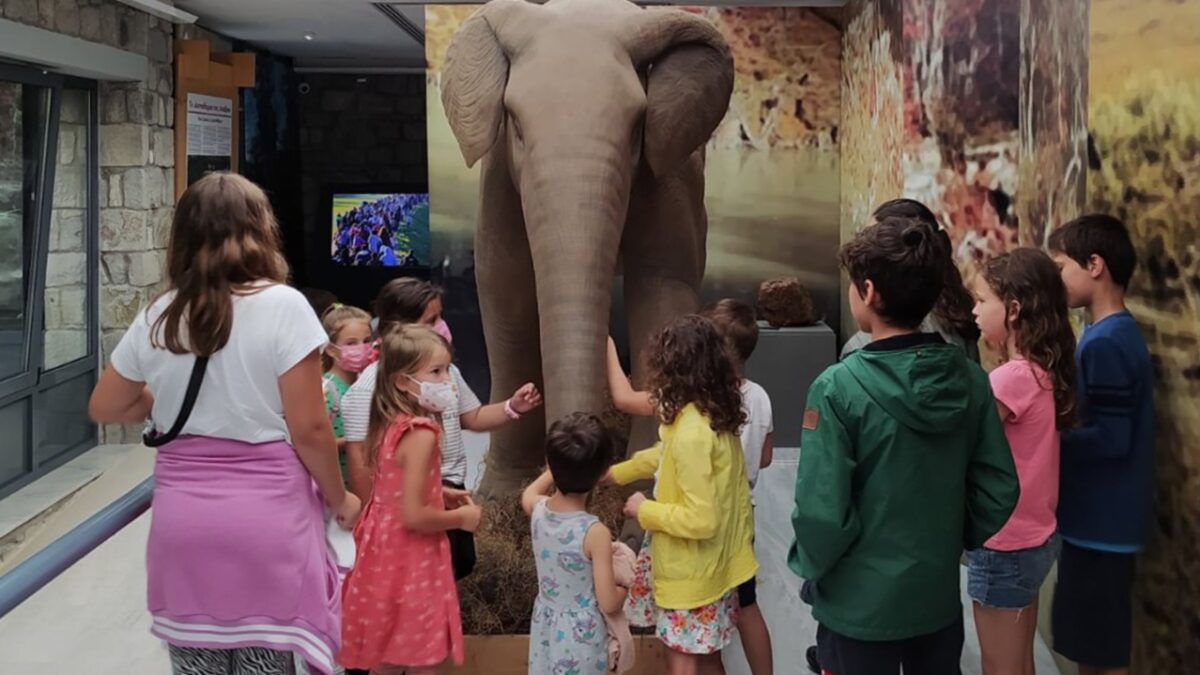 Ταξίδι σε άλλες κλιματικές αλλαγές στο Αιγαίο παρέα με ένα δεινοθήριο 19 εκατομμυρίων ετών και απολιθωμένες σεκόγιες